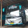 dontol5327
