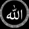 user456479355835438335