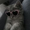 huiy_xl36