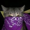anna._4412