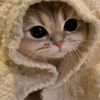 hanun