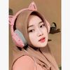 fitribipg1b