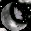 user4811122628423