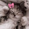 qt_kat07