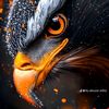 yousuf.9941