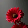 mll99_99