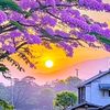 user20070902285307