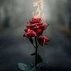 fleurnduax
