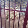 ali.cr79943