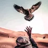 .wtn87