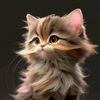fauzi.poel4