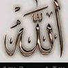 basir1147