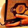 om.amr9393