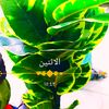 user7123934168151