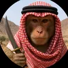 mr_karkor