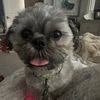 danagray8