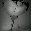 user2799551871501