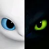 dragon2.16