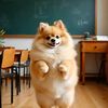 Bongy the Dog