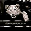 abdul.ghani8442