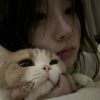 nawal_537