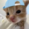 heyhiyio