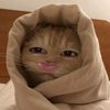 nya11116