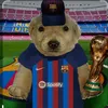 felimupa18