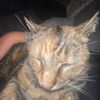 tyler_2410_
