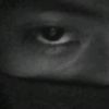 wil_xzxzxz
