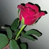 s2.iilx5