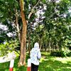 myphyolay76