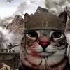 zazu_zaazu
