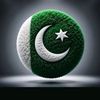 hassan.irfan261
