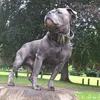 bluestaffie