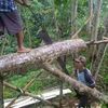 heri.siswoyo93