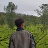 abay12426