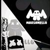 zenz_82