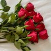 noor.ahmed6260