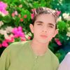 phtan30250