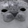 noturavg_gamer12
