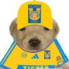 bb_lologramos88_