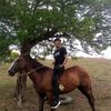 dxniel.smar.z09