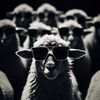 iamcaesar78
