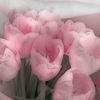taa_0877