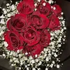 mly7104