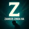 zameer.zinda.ha