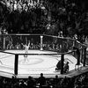 ufc.best.clips1