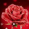 user33404976626612
