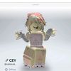 ceys405